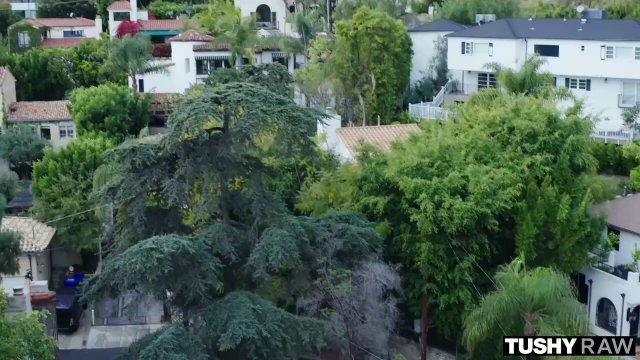 Превью Парень отымел в анал блондинку, а потом и ее подругу брюнетку № 35585