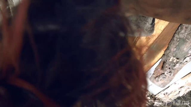 Превью Девушка-монстр грязно трахается с мужиком в сарае № 39278