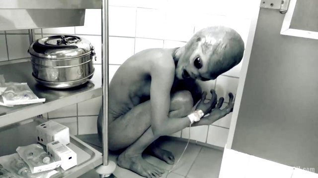 Превью Мужик трахнул инопланетянку № 39537