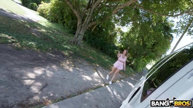 Превью Секс в машине с грудастой незнакомкой № 42330