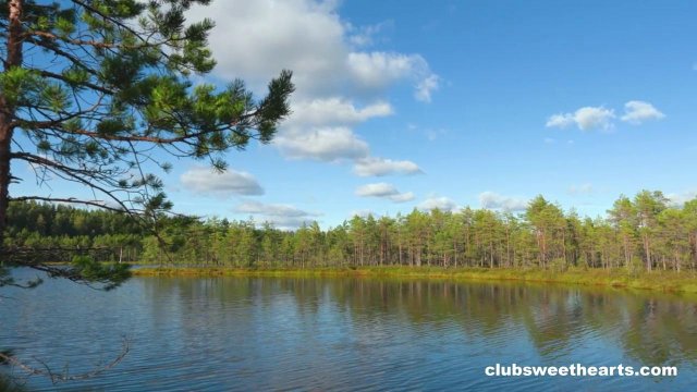 Превью Групповуха лесбиянок у реки на природе № 42379