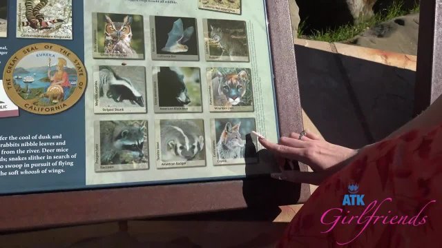 Превью Горяченькая прогулка с порно-актрисой № 46901