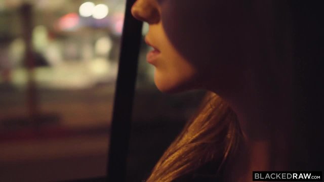 Превью Настоящие истины межрасового совокупления № 47024