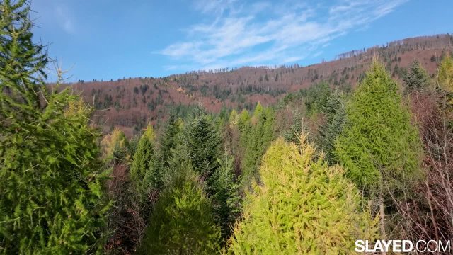 Превью Лесбийские мотивы, которые не предугадать № 47090